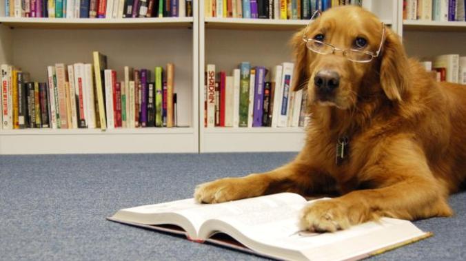 methodetimesprodwebbind71884aa-3fa5-11e6-a28b-4ed6c4bdada3